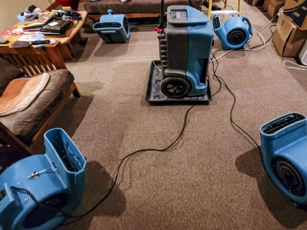 Cost of Flood Damage Recovery in Sarasota