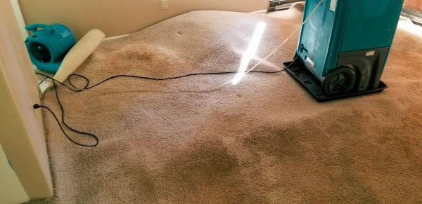 Cost of Flood Damage Cleanup in Sarasota
