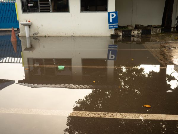Cost of Storm Damage Repair in Sarasota