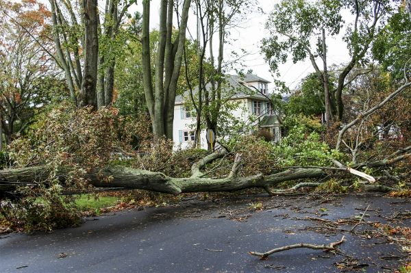 Cost of Tornado Damage Repair in Sarasota