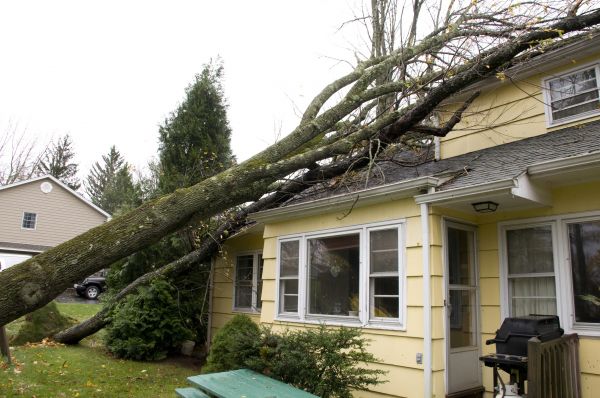Cost of Storm Damage Mitigation in Sarasota
